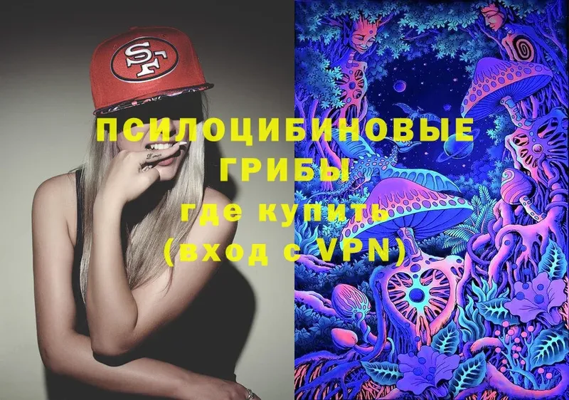 KRAKEN зеркало  Сафоново  Псилоцибиновые грибы Psilocybe 